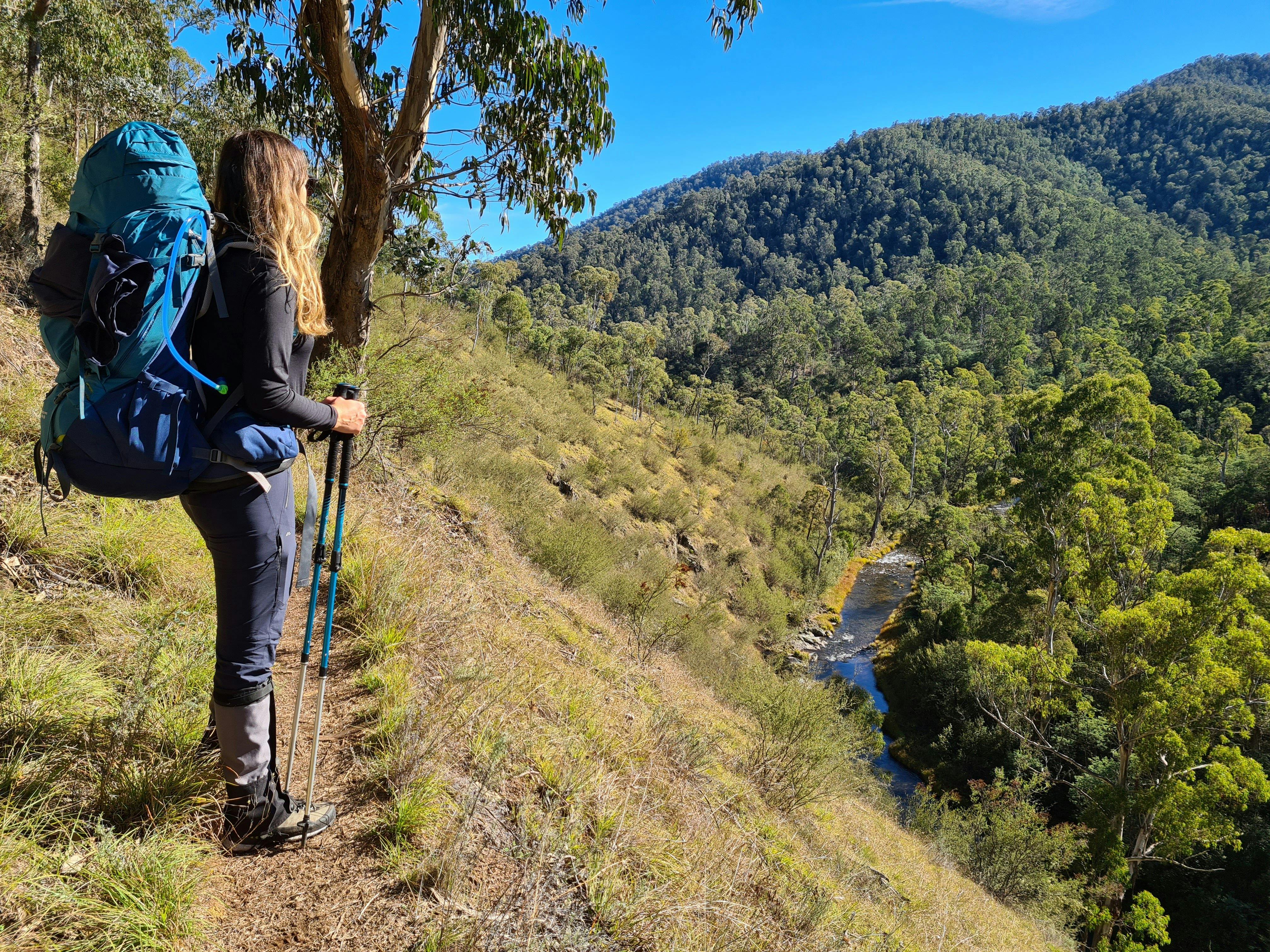 A hiker on a trail high up above the Howqua River.