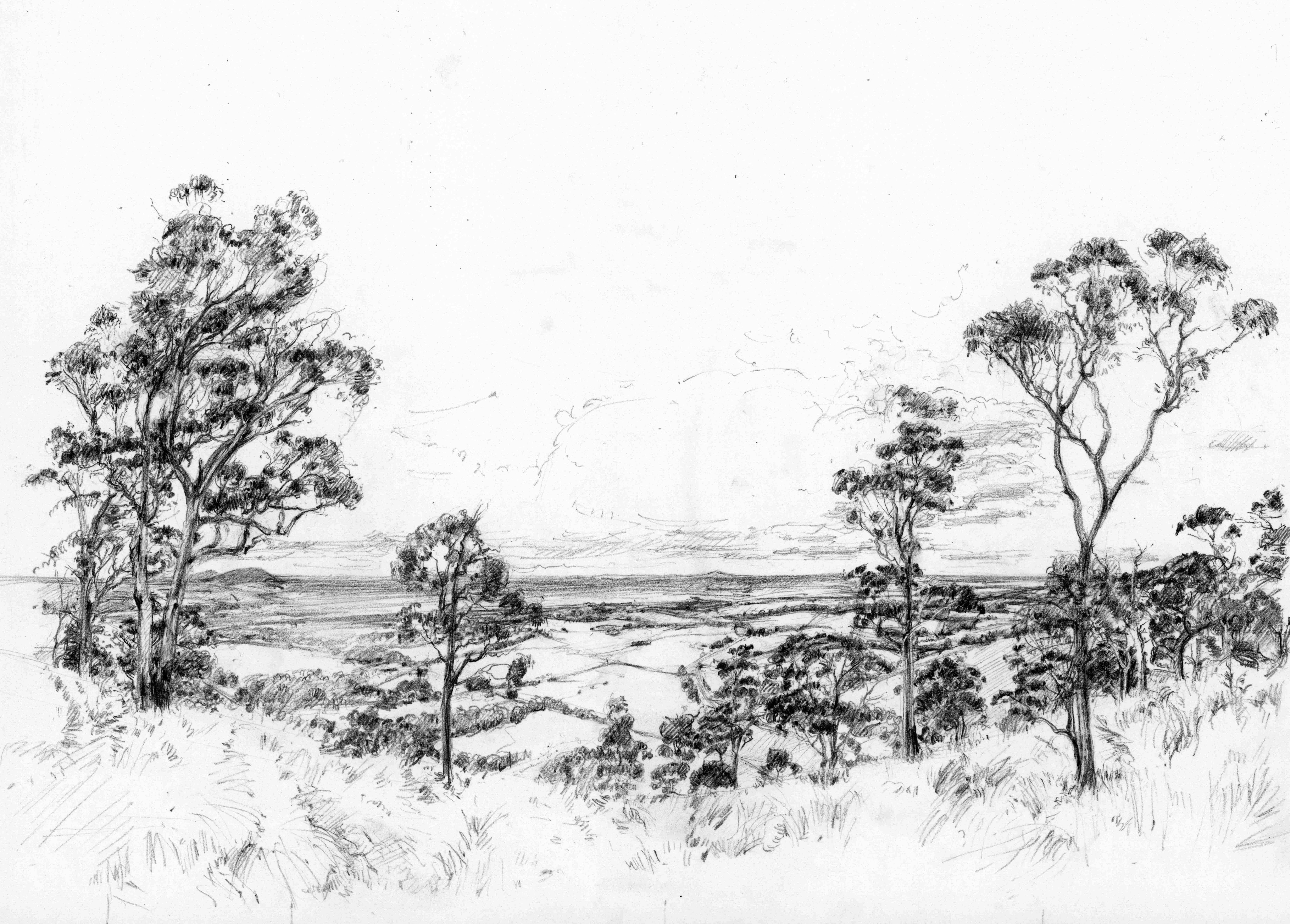 Black and white drawing of the landscape from Mount Bunninyong over fields and trees