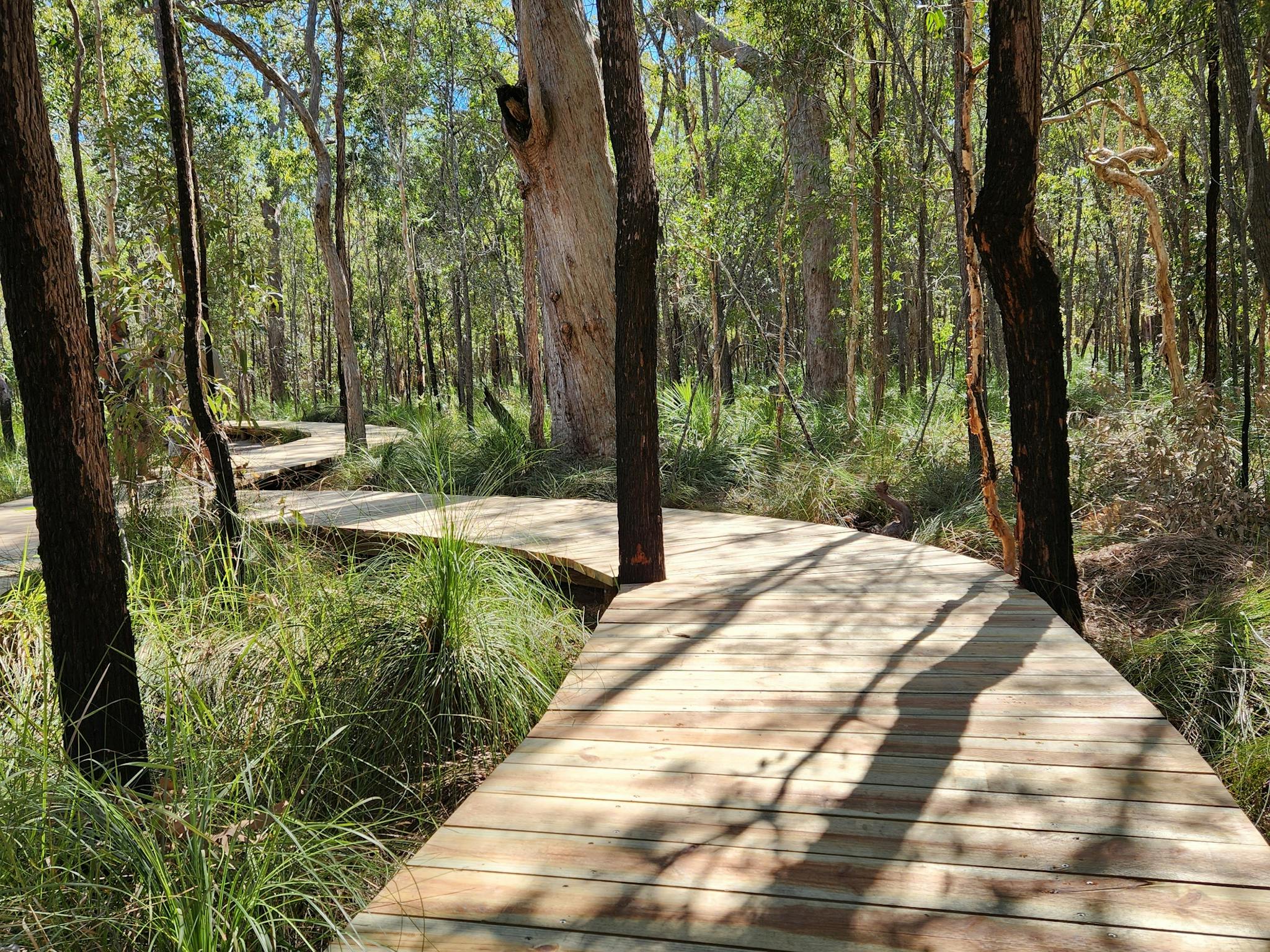 386 m long accessible boardwalk