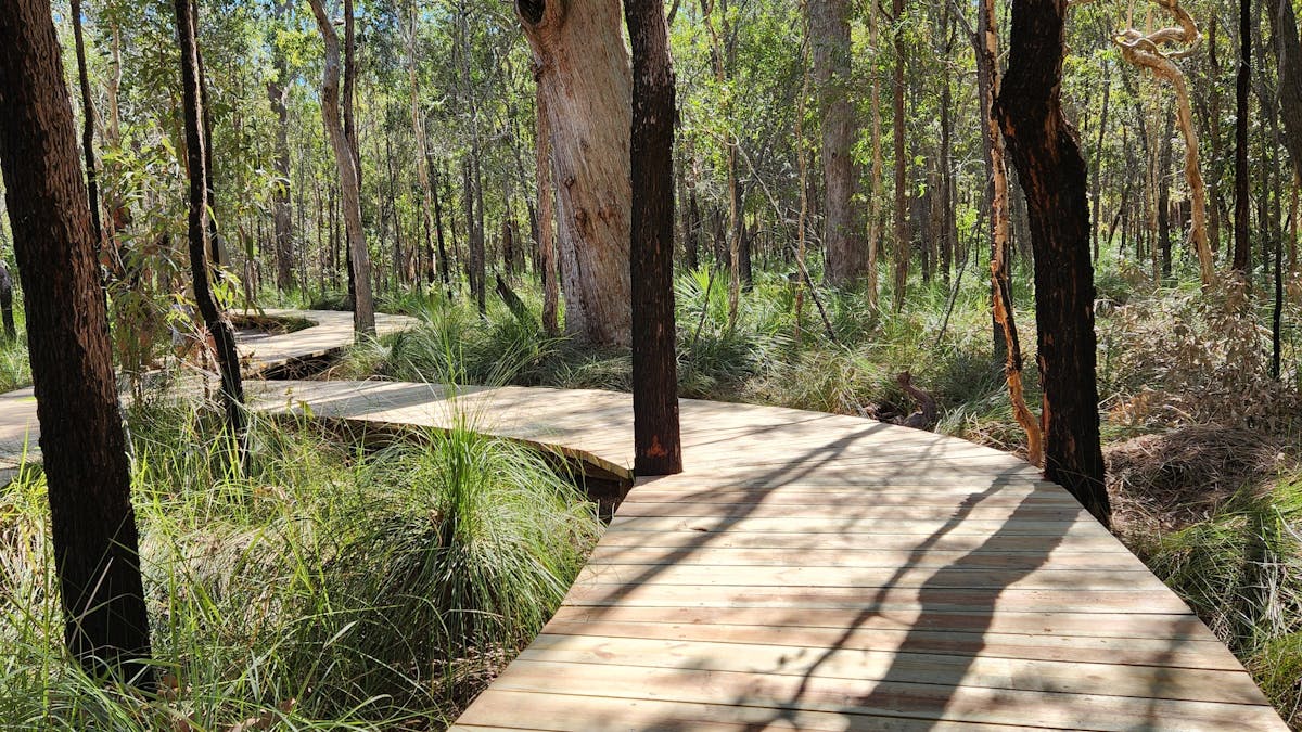 386 m long accessible boardwalk