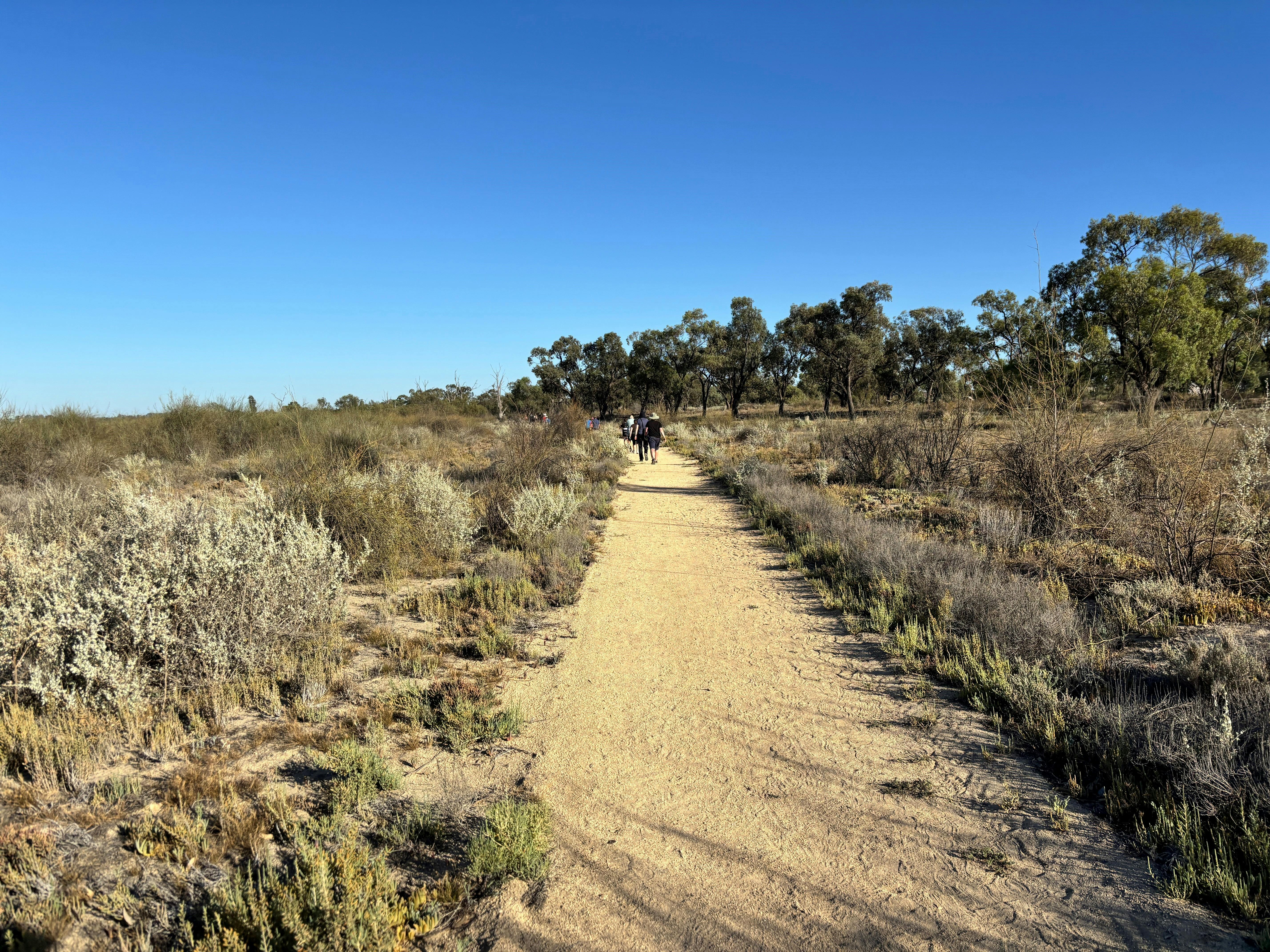 Waikerie Wetlands Parkrun