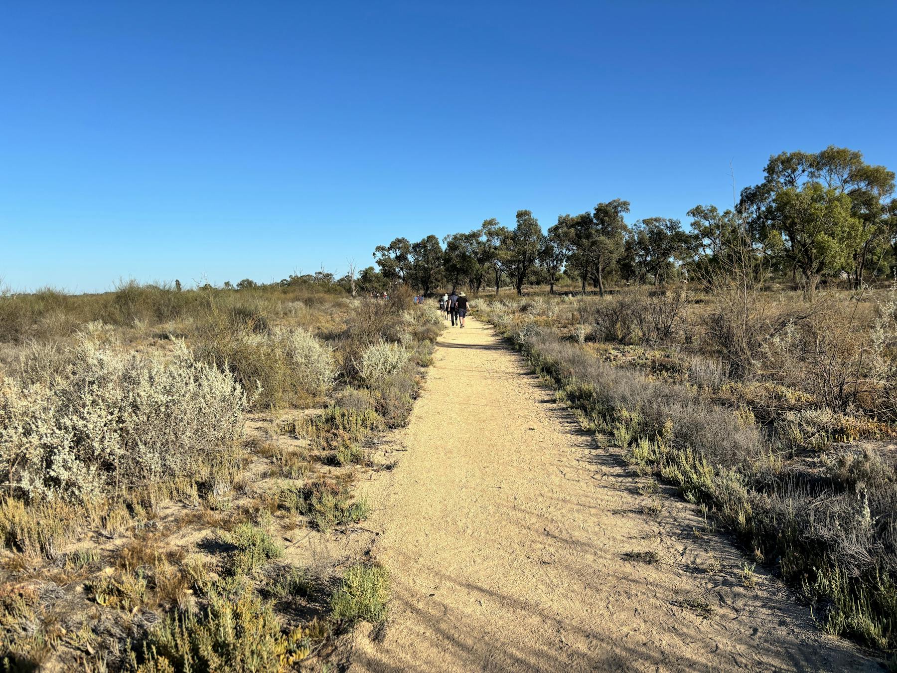 Waikerie Wetlands Parkrun