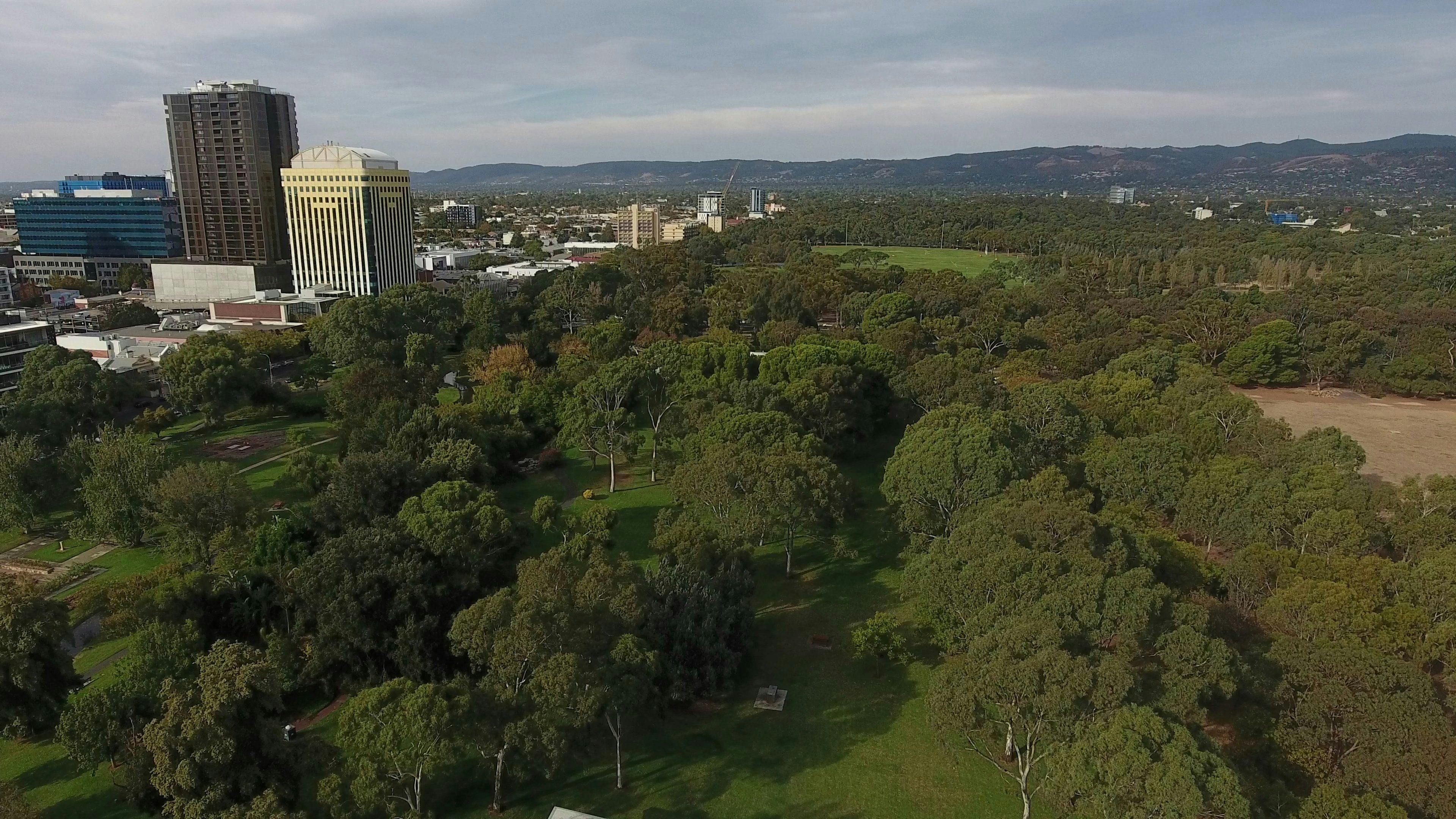 Guided Walk through Veale Park / Walyu Yarta (Park 21)
