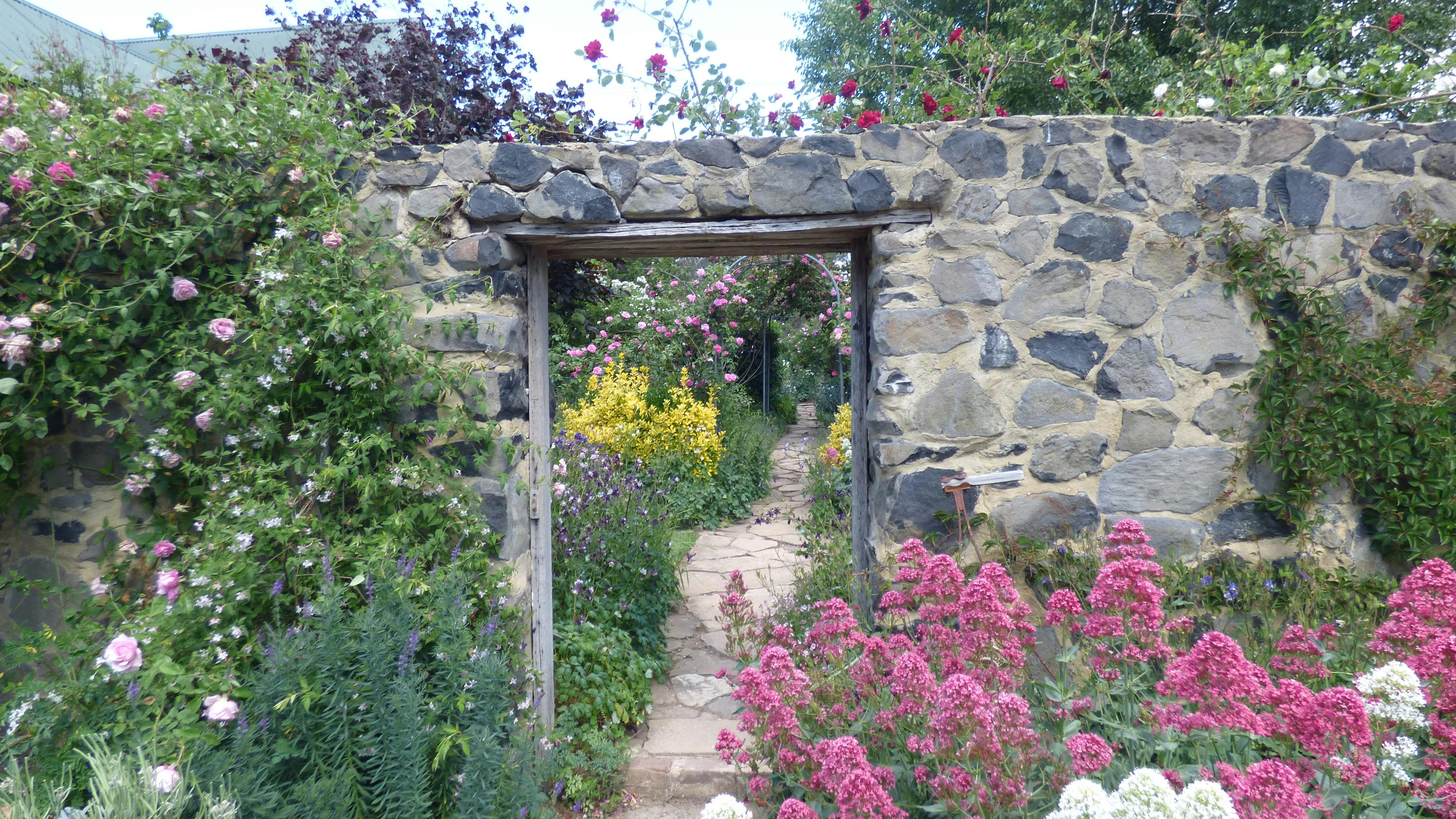 cottage garden