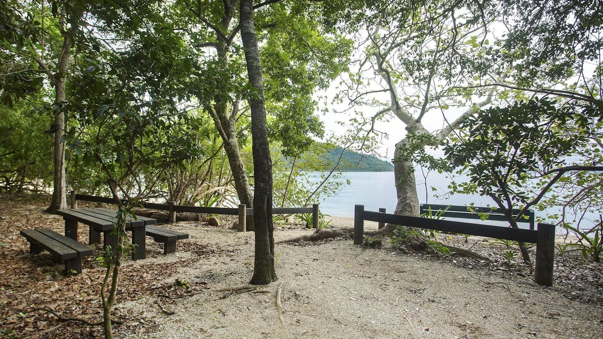 View to outdoor picnic area near Nari's Beach under the trees overlooking to the beach