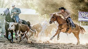 Gundagai Rodeo