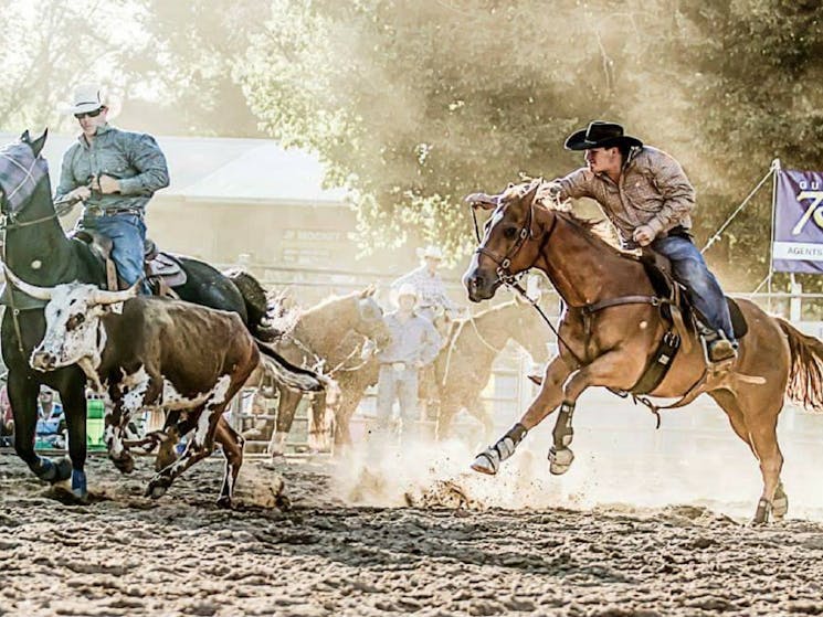 Gundagai Rodeo NSW Holidays & Things to Do