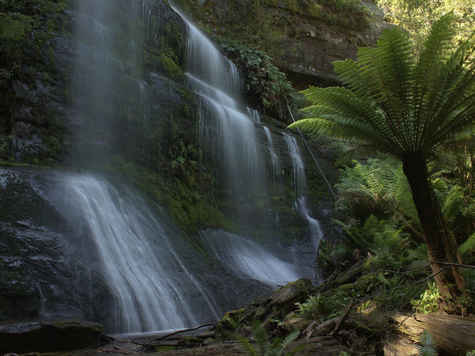 Falls