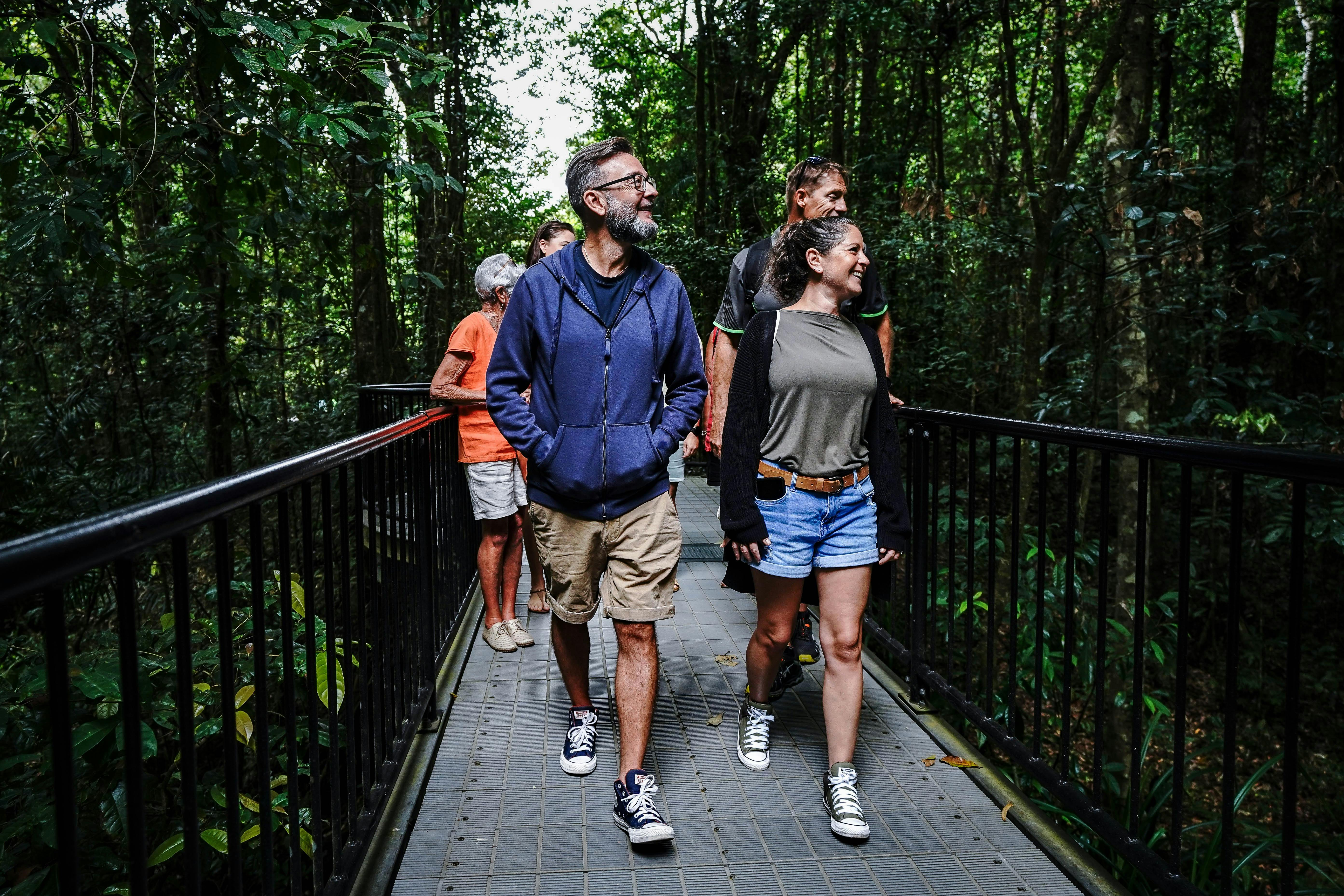 Guided Rainforest Walk with Daintree Discovery Tours