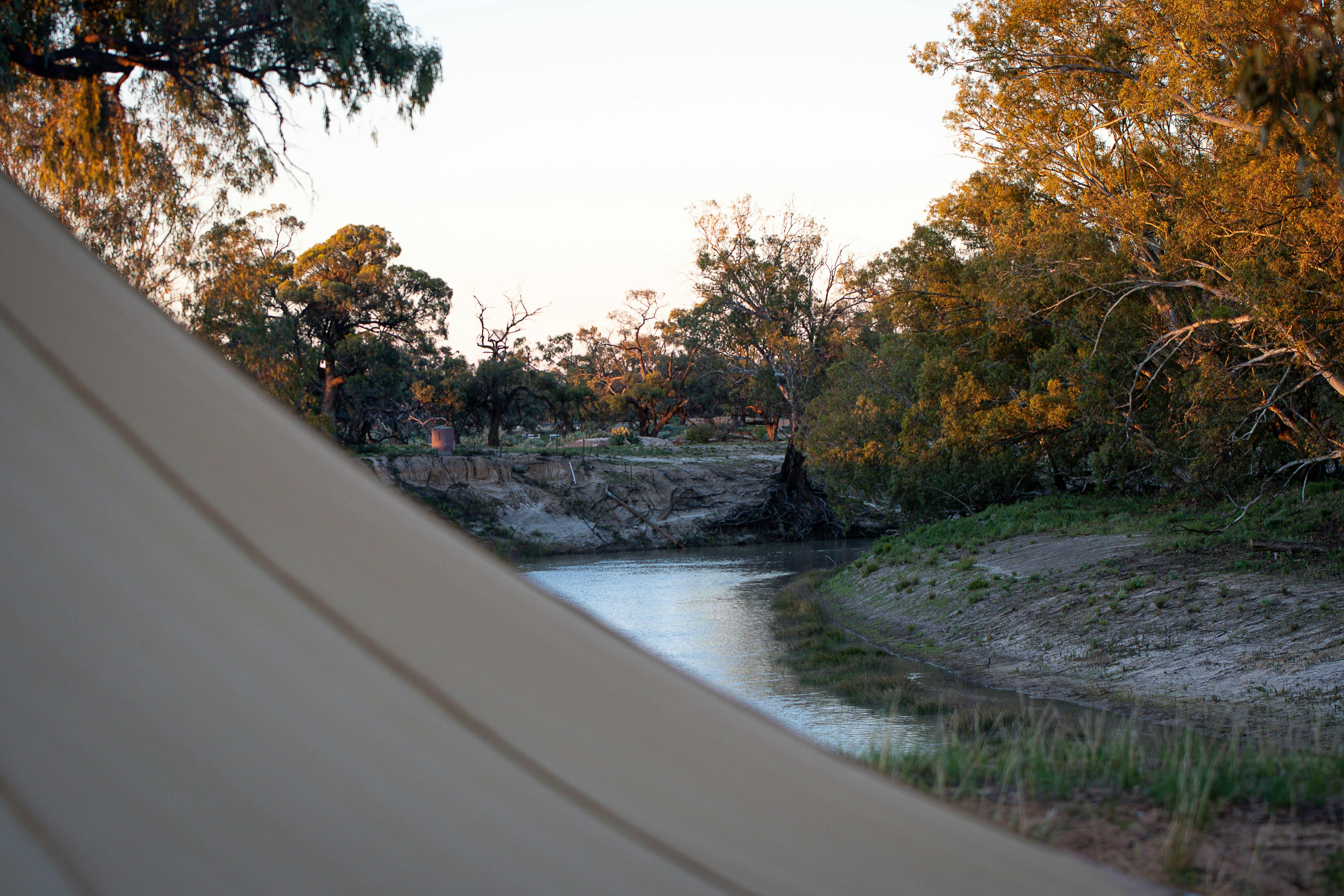 Exploring the Darling