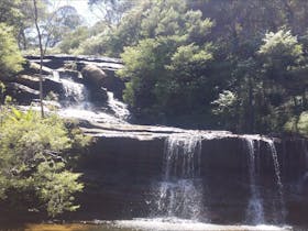 Spirit Safaris in New South Wales