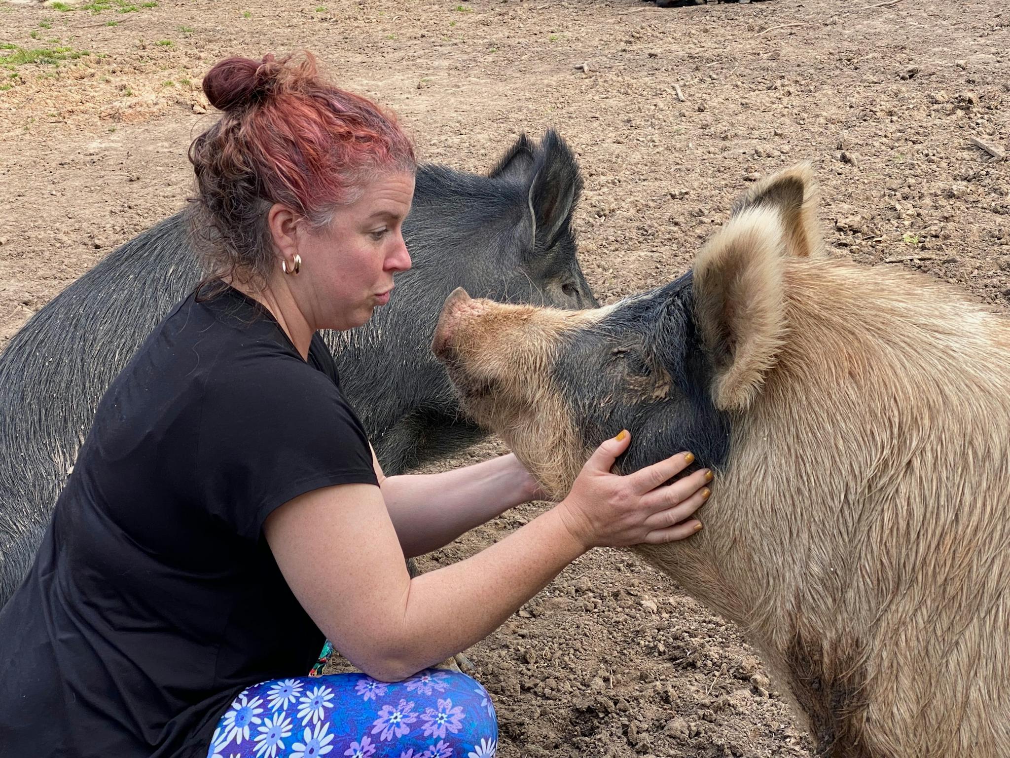 Interactions with farm animals at Benalla accommodation and wellness retreats
