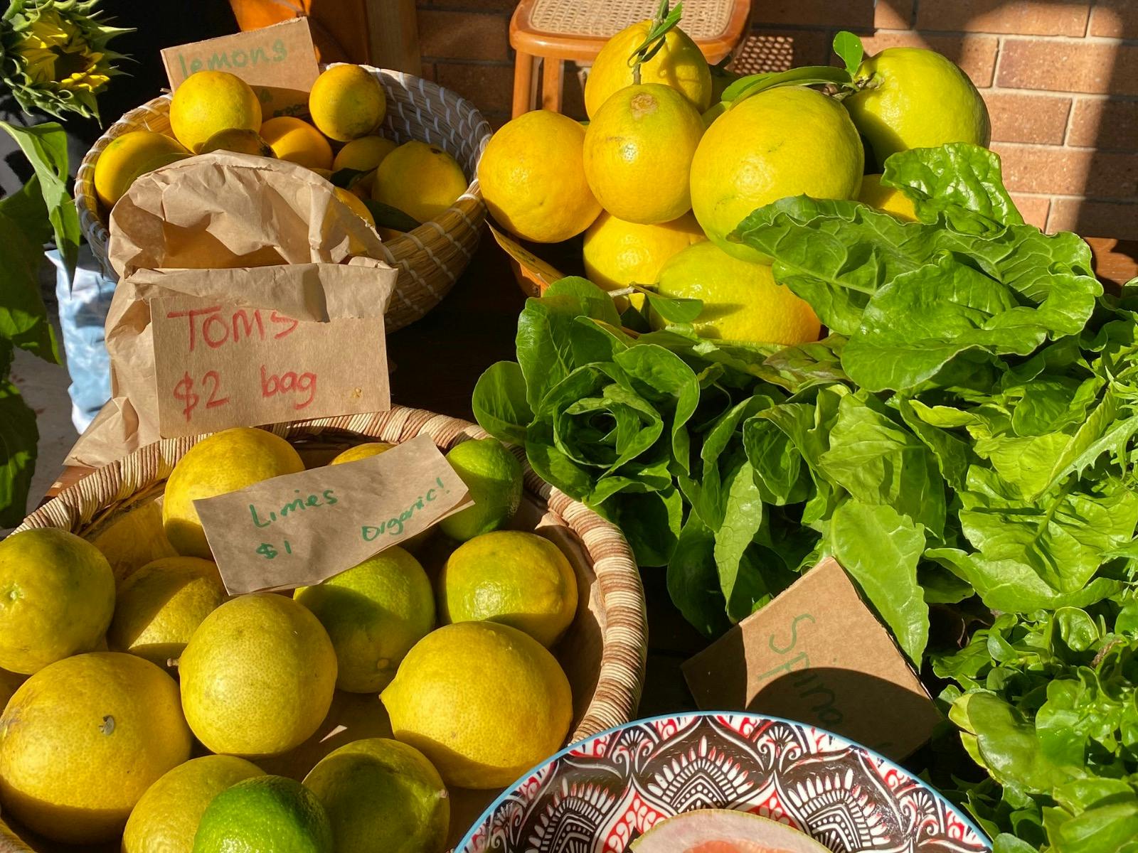 Farmgate Markets at Green Thumb Farm, Samford Valley