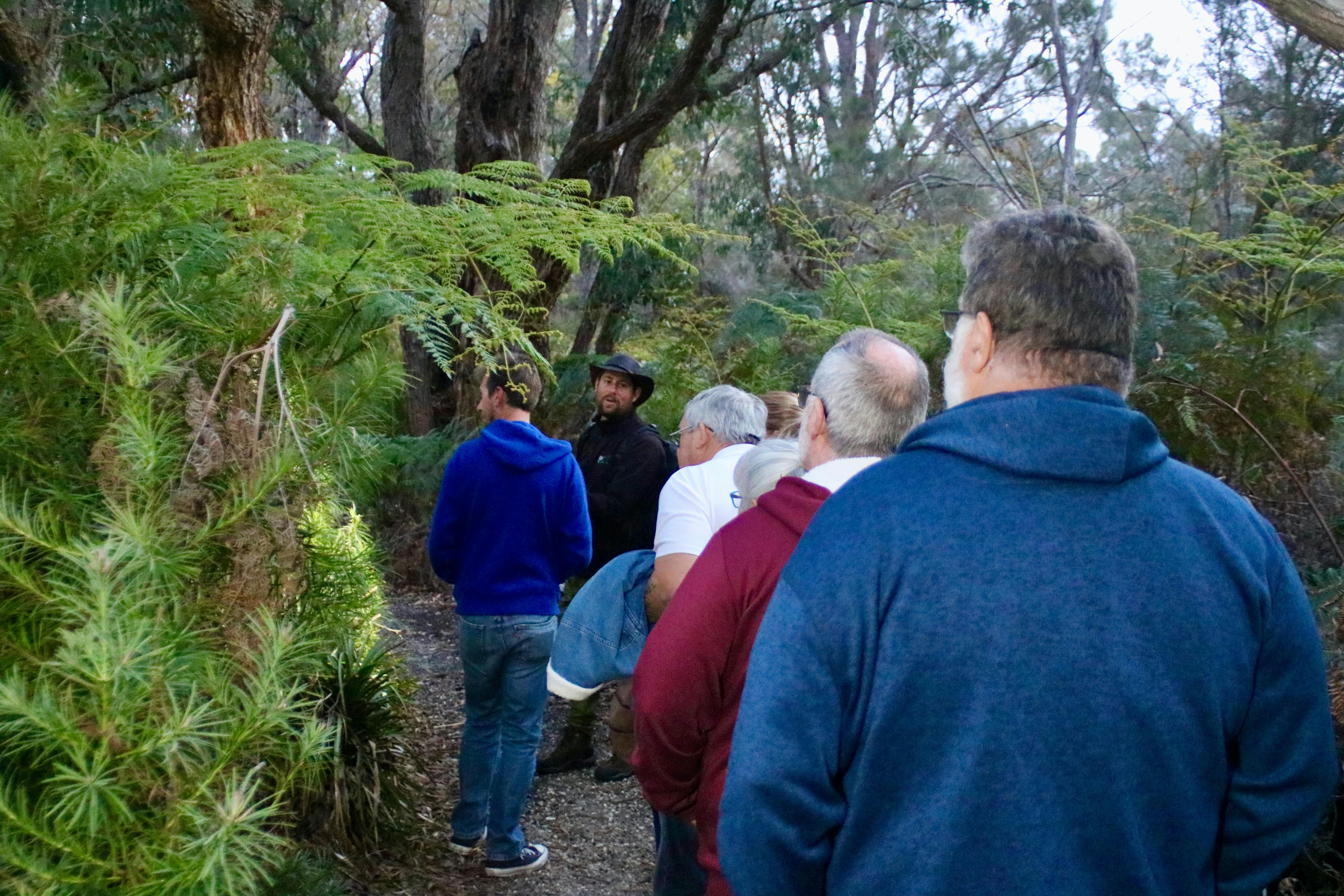 Nocturnal Wildlife Encounter