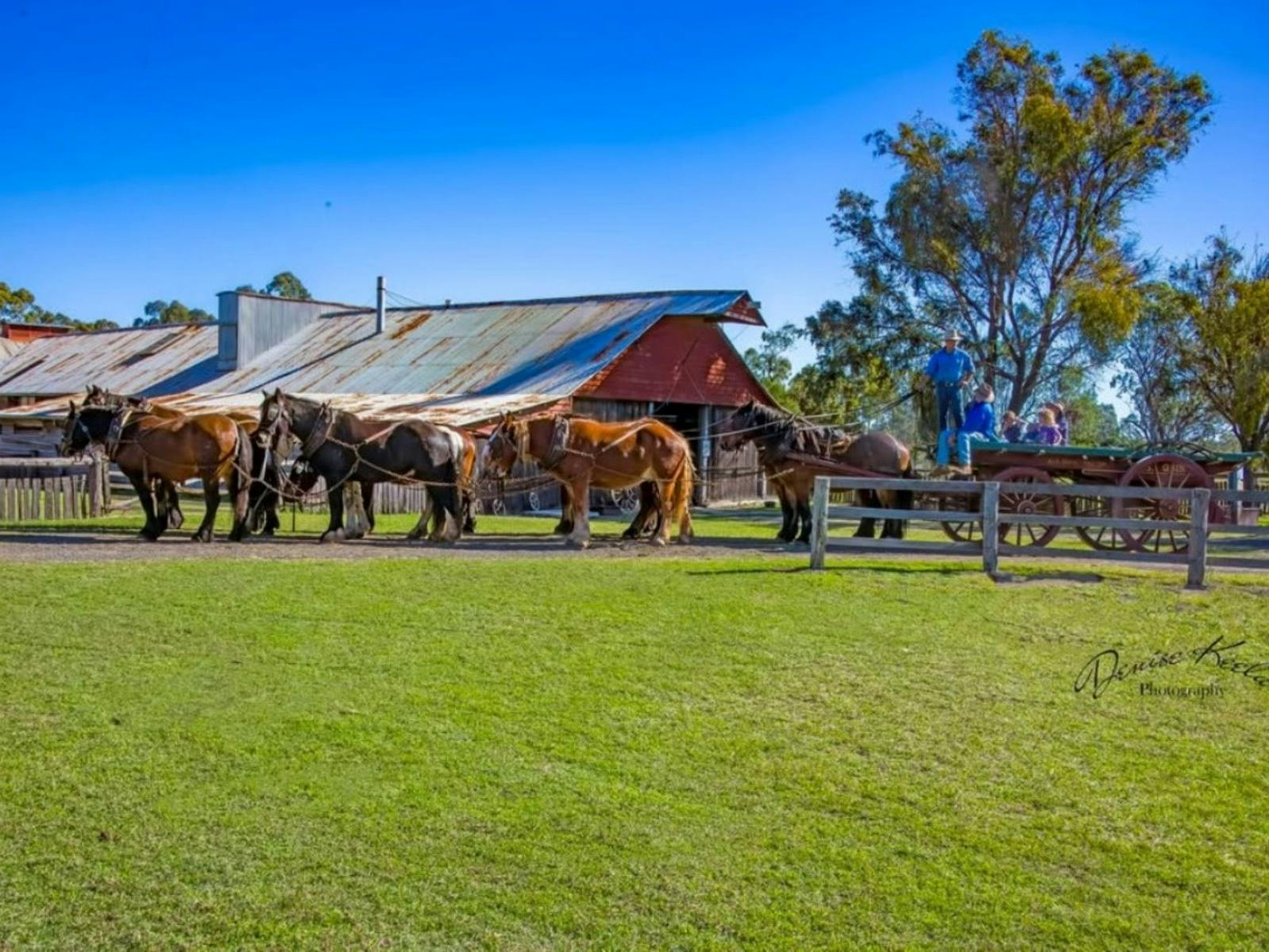Marlie Heavy Horse team at the historic Jondaryan Woolshed Marlie Heavy Horse team at the historic Jondaryan Woolshed