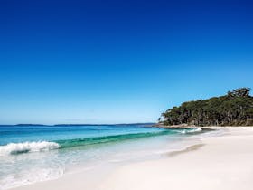 Paperbark Camp is just minutes drive from the pristine beaches of Jervis Bay