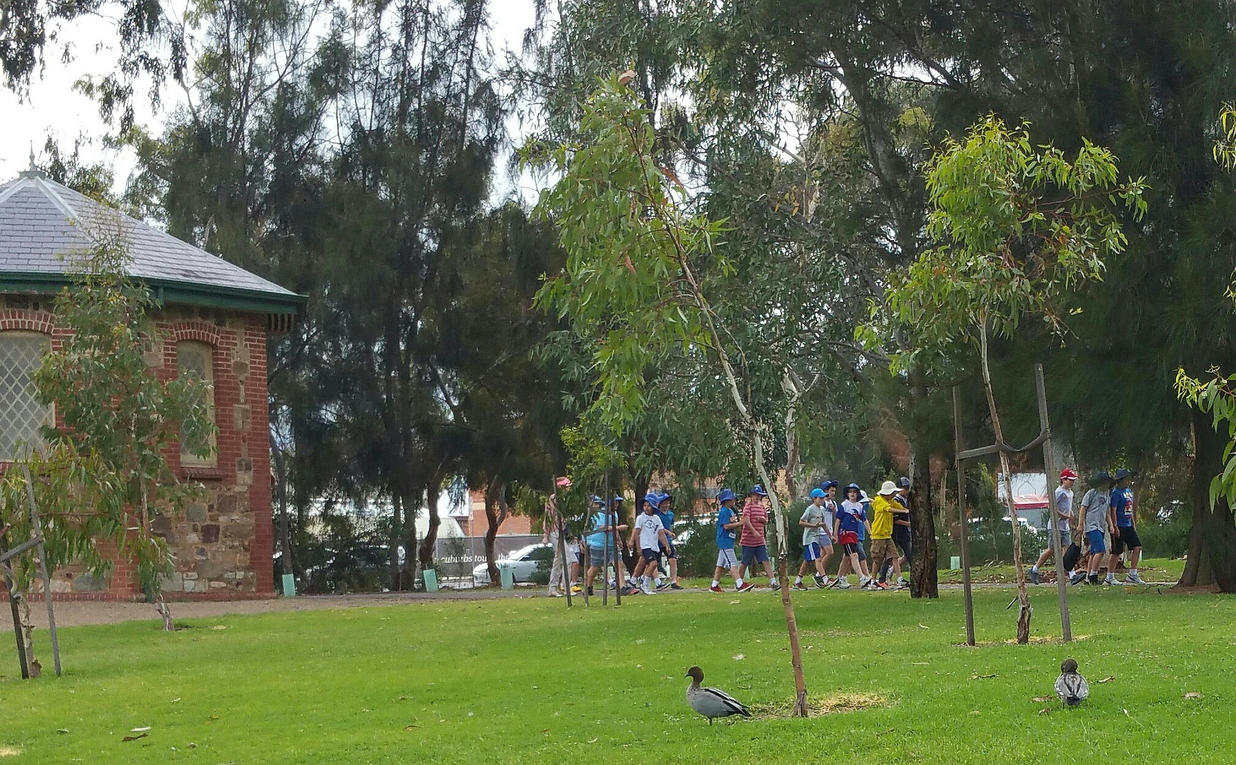 Guided Walk through Rundle Park / Kadlitpina (Park 13)