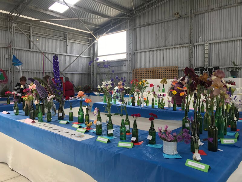 Flinders Island Show