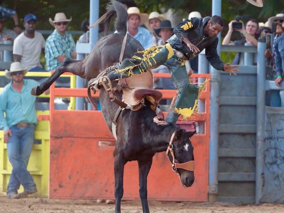 A rider is bucked from a horse at the Mareeba Rodeo in Mareeba, Far North Queensland.