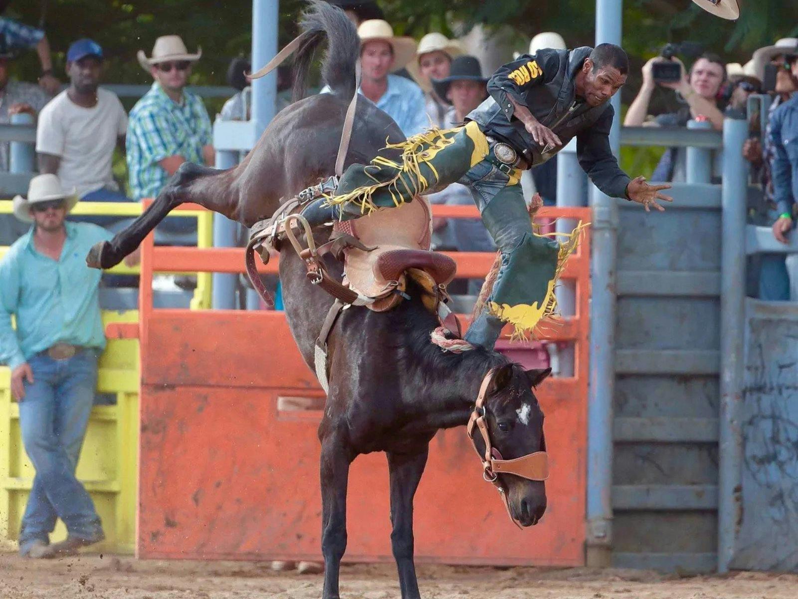 Mareeba Rodeo in Mareeba - The Fold: Your Guide to Everything Regional ...