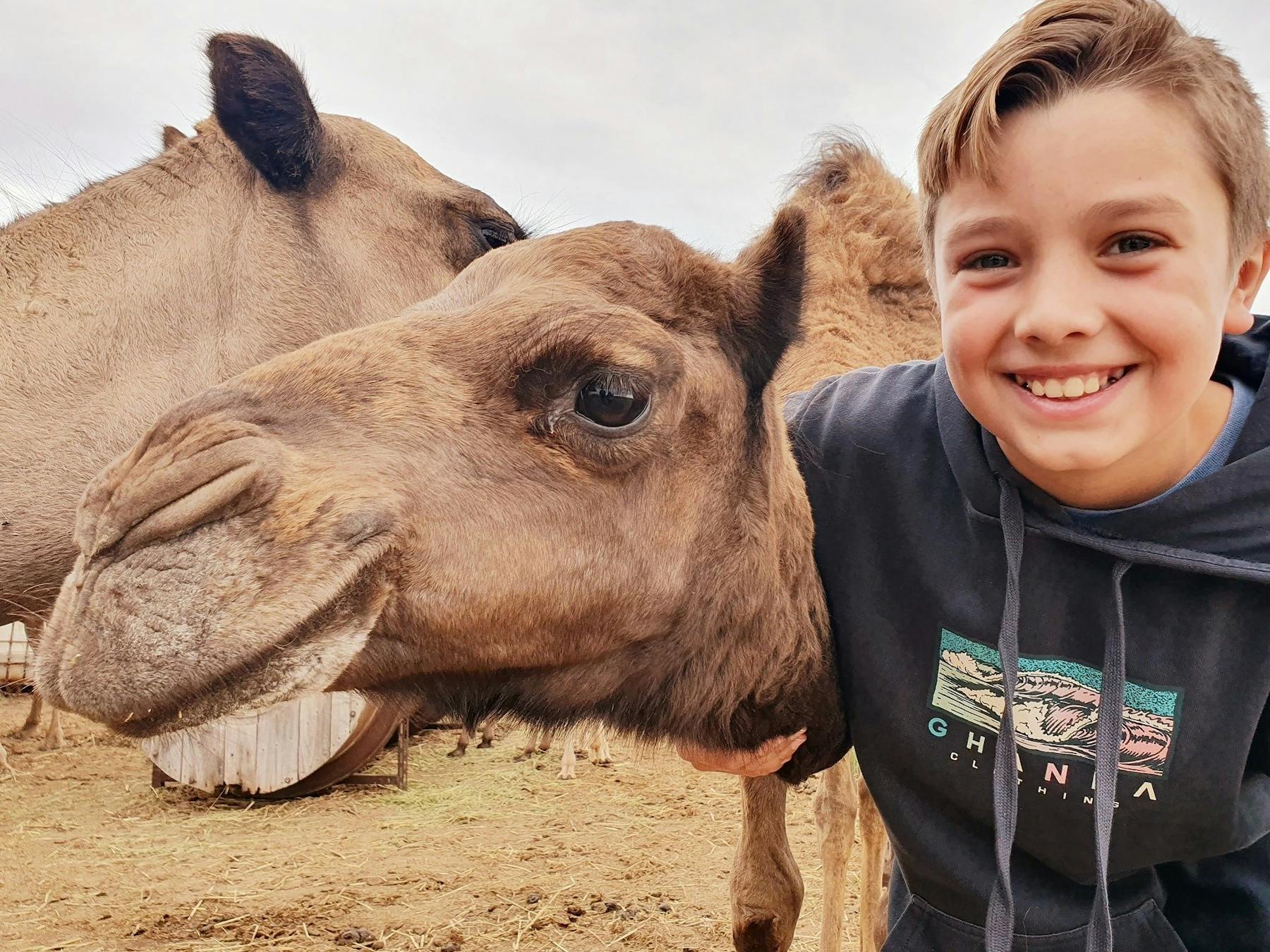 Little boy and camel