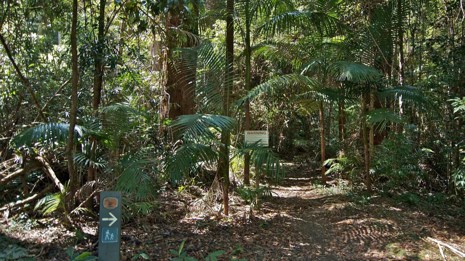 Boggy Creek Walk