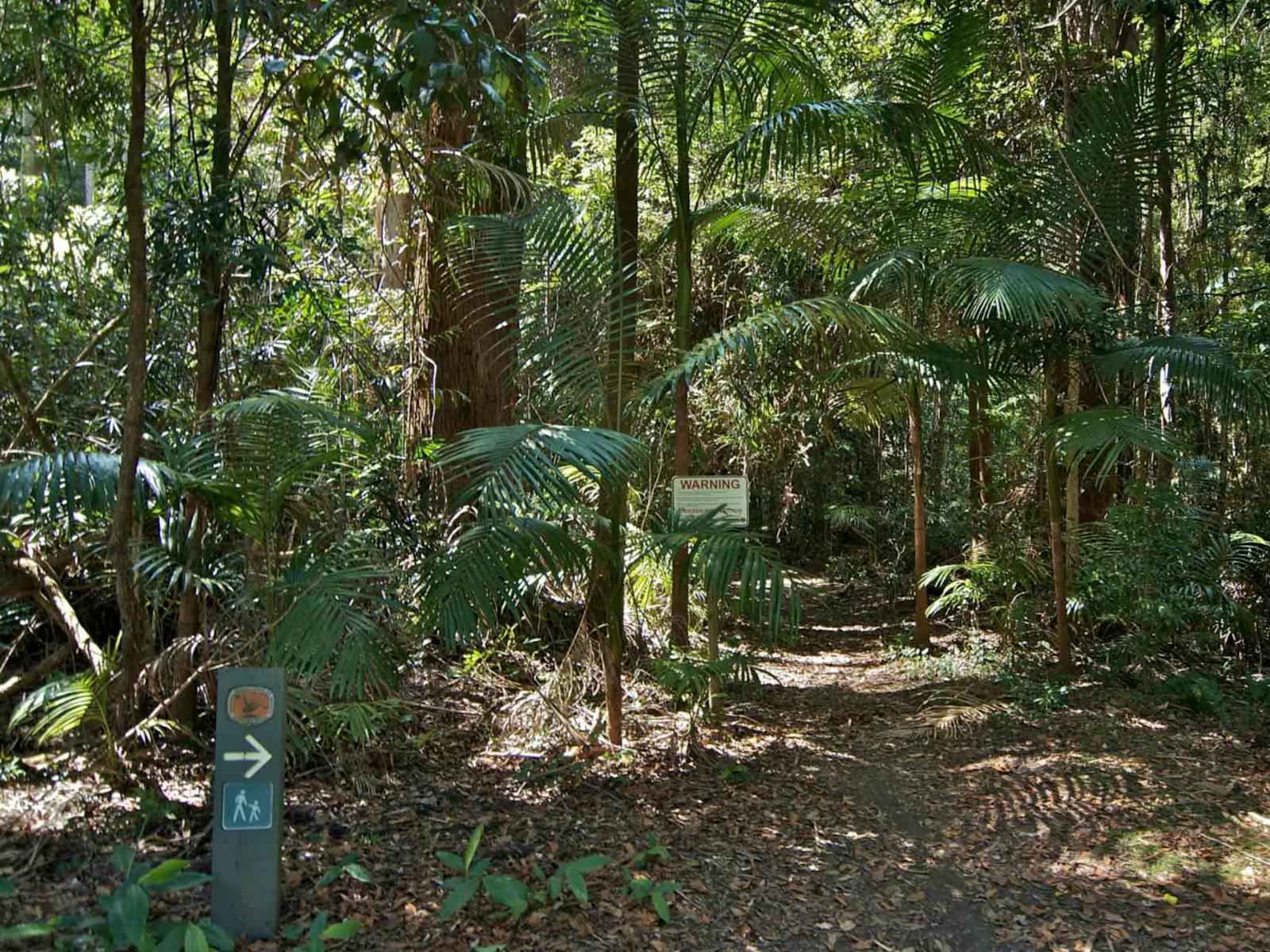 Boggy Creek Walk, Nightcap-Nationalpark. Foto: John Spencer