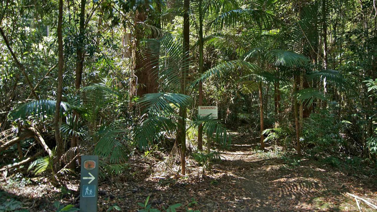 Boggy Creek Walk