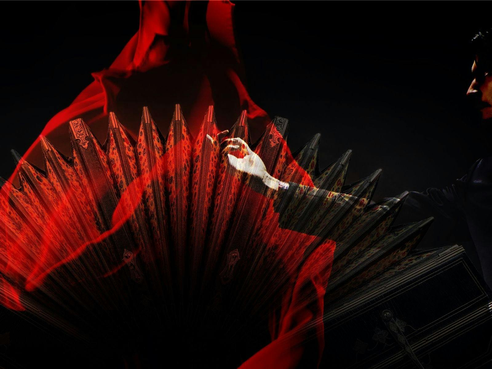 An abstract image showing a section of an accordion and a man gesturing with his hand.