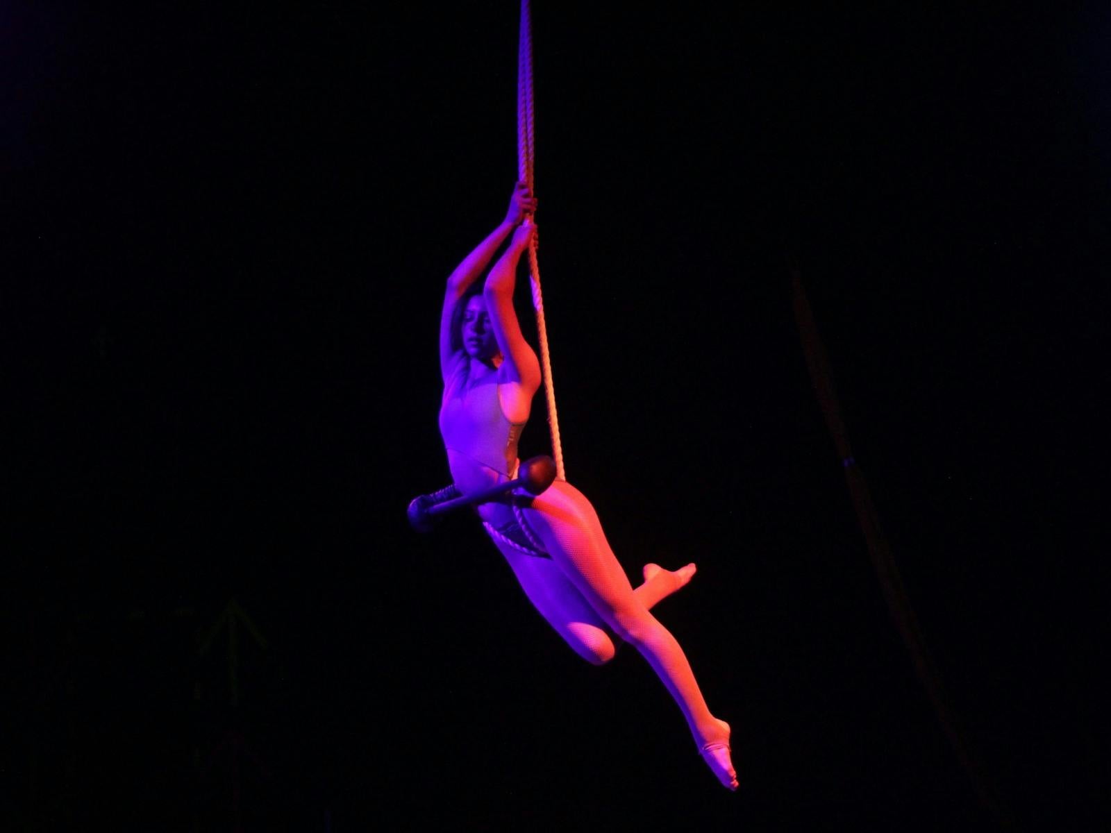 Aerials & SIlks