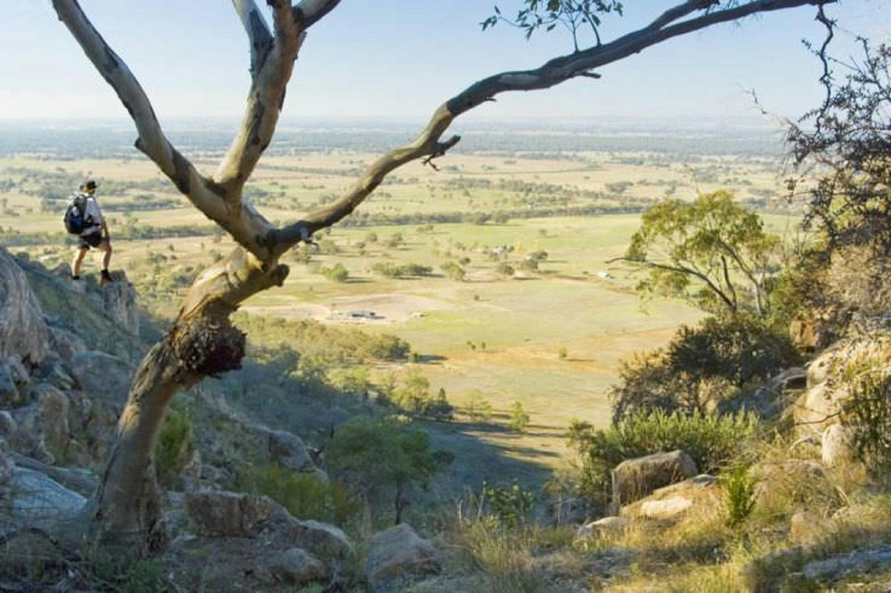 Warby Ovens National Park
