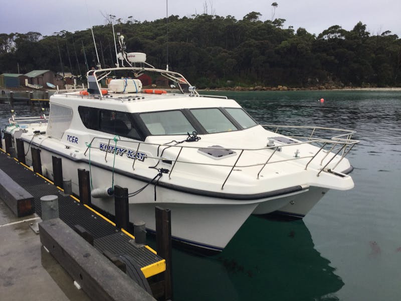Force 10 Fishing Charters Discover Tasmania