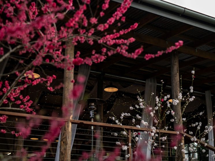 The Barn & Blossoms at Glenrock Gardens