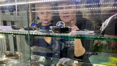 Child and parent look at specimens of Geoscience Australia's National Fossil and Mineral Collection