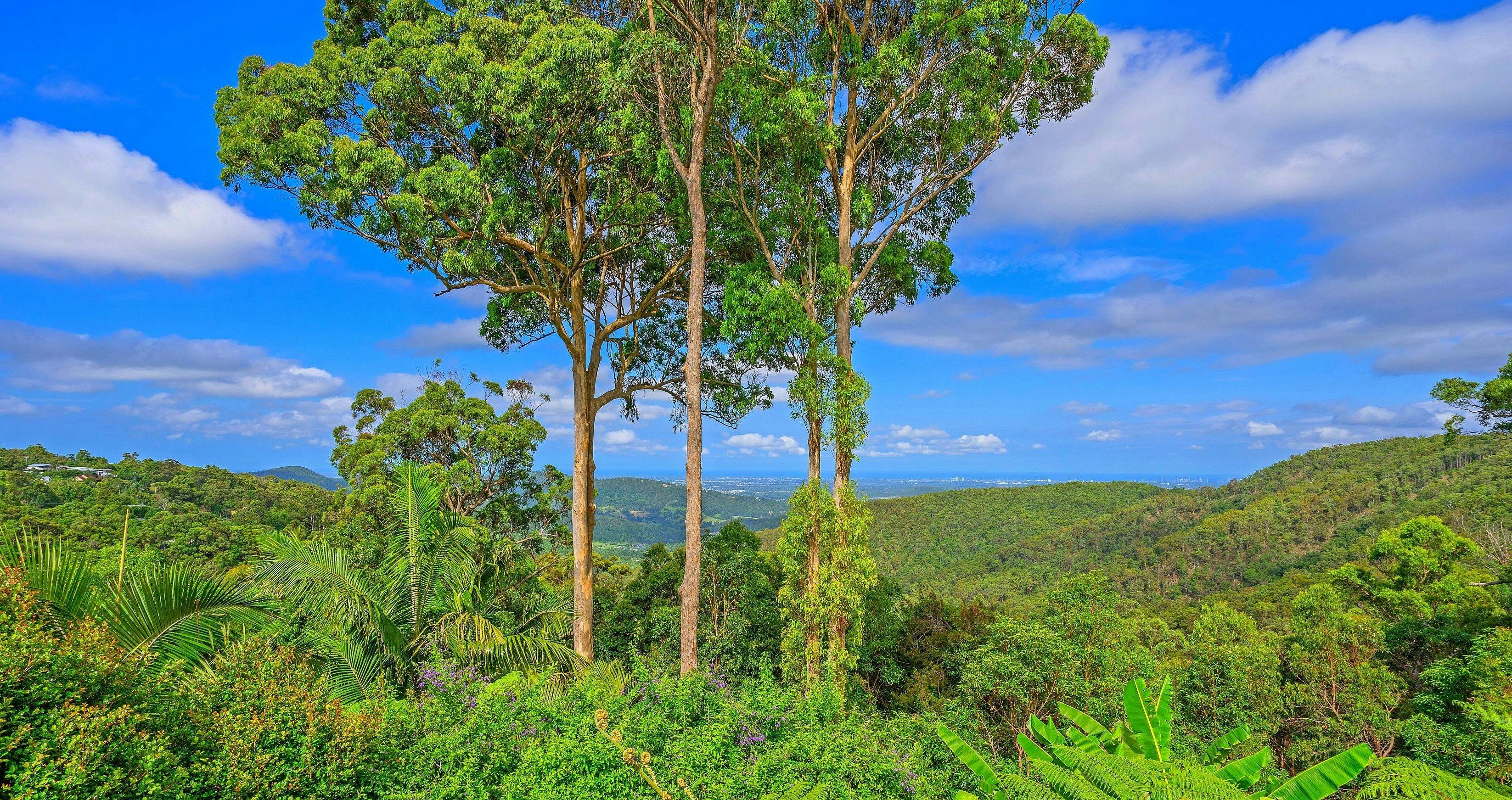 Panoramic Valley and Coastal Views