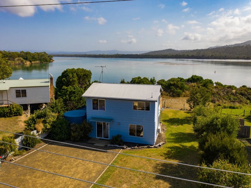 The Blue House