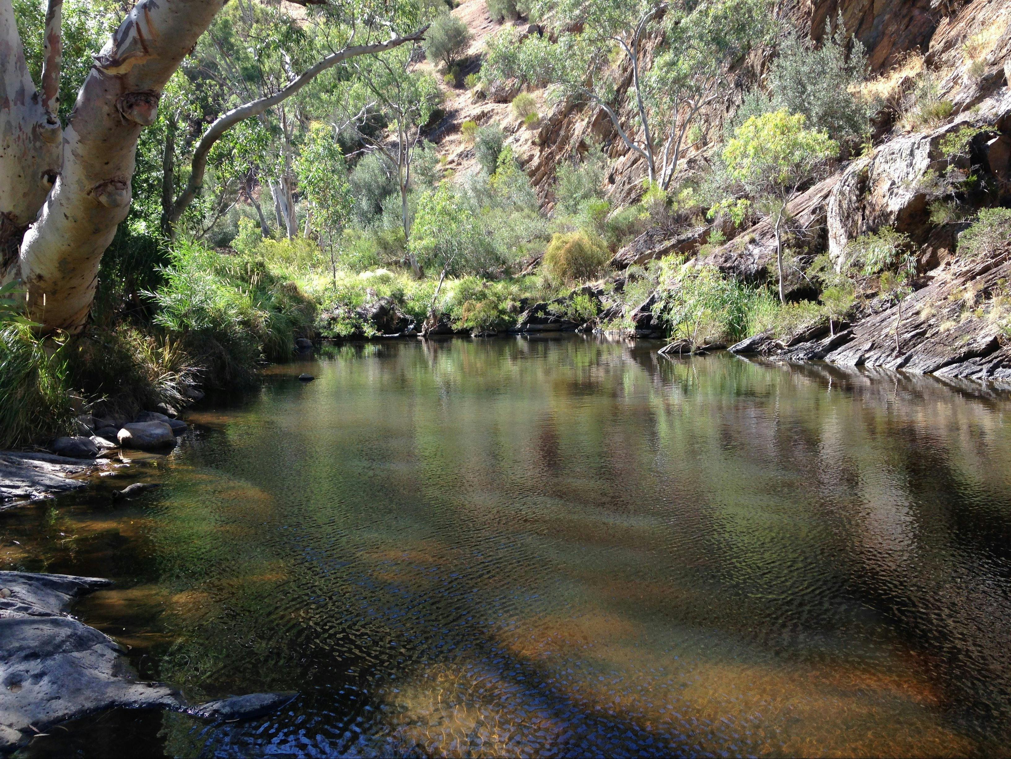 Onkaparinga River National Park