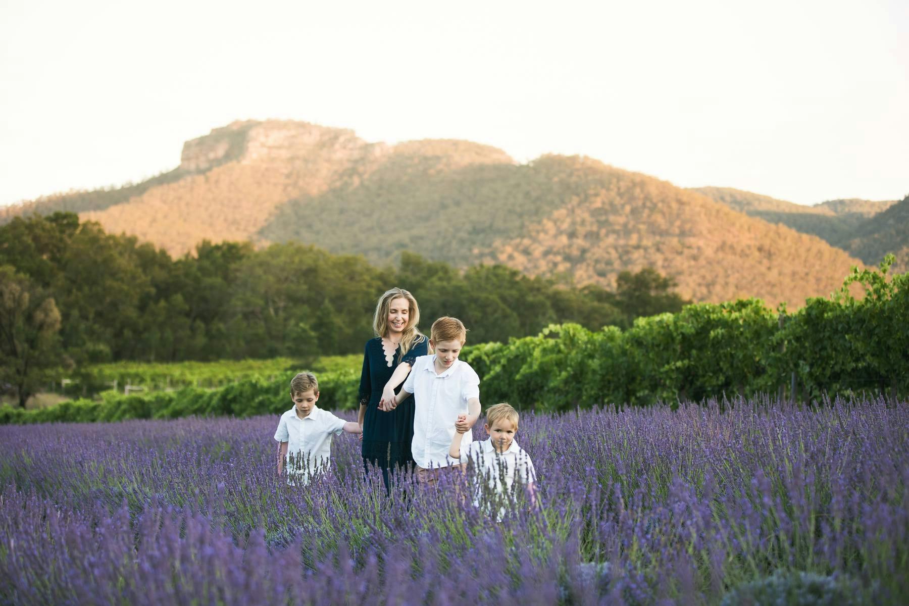Lavender farm Sunset