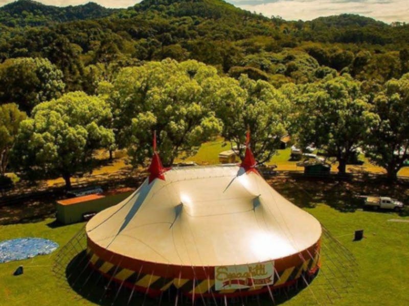 Image for National Circus Festival