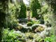 Witches Garden parterre