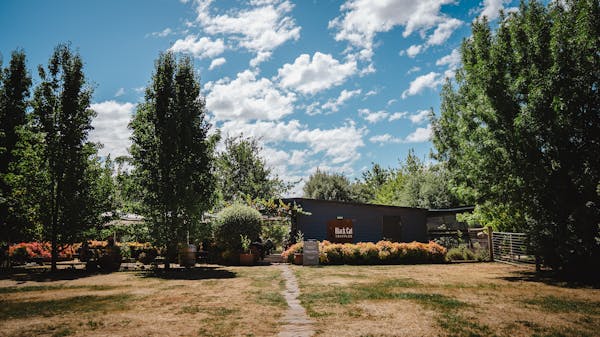 Meredith Wines
