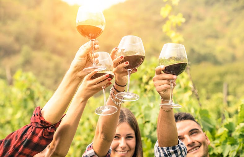 Barossa Valley Wine Tours