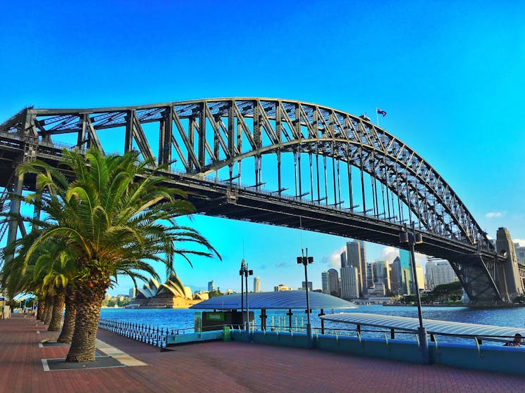 Milsons Point - Sydney Harbour Bridge, Sydney Opera House & Circular Quay