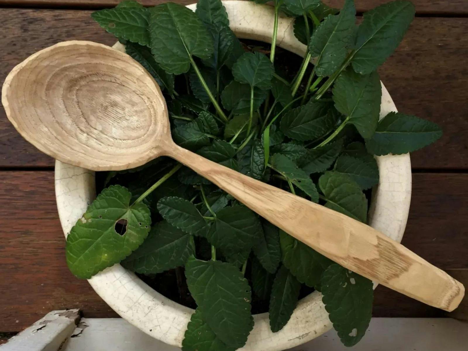 Spoon Carving Workshop at the Rare Trades Centre