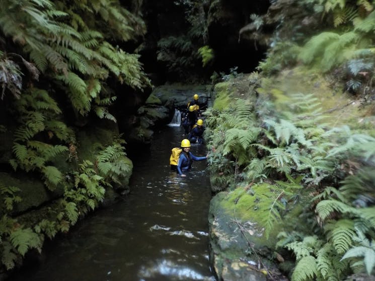 Canyoning Blue Mountains