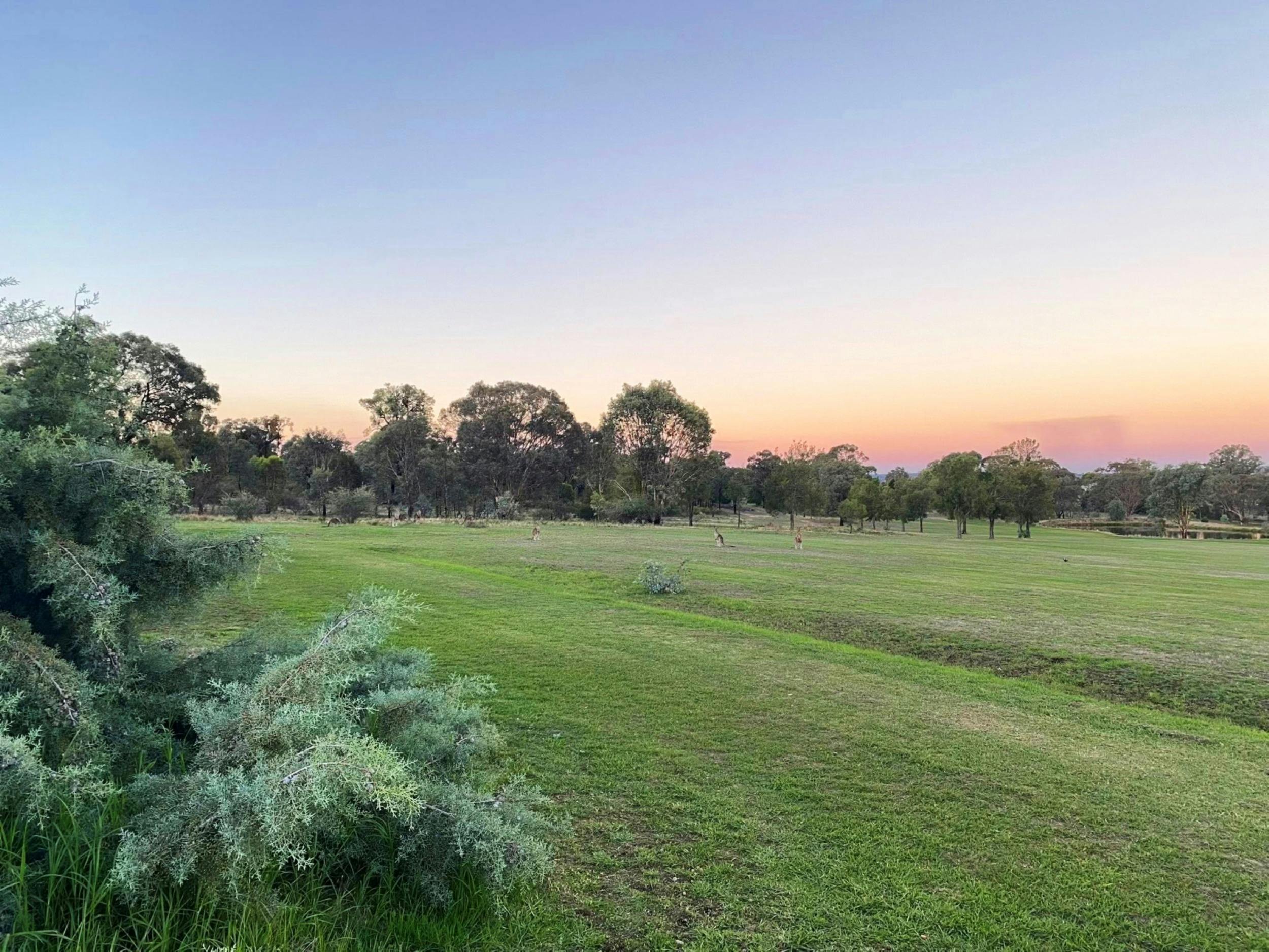 Sunrise over the golf course