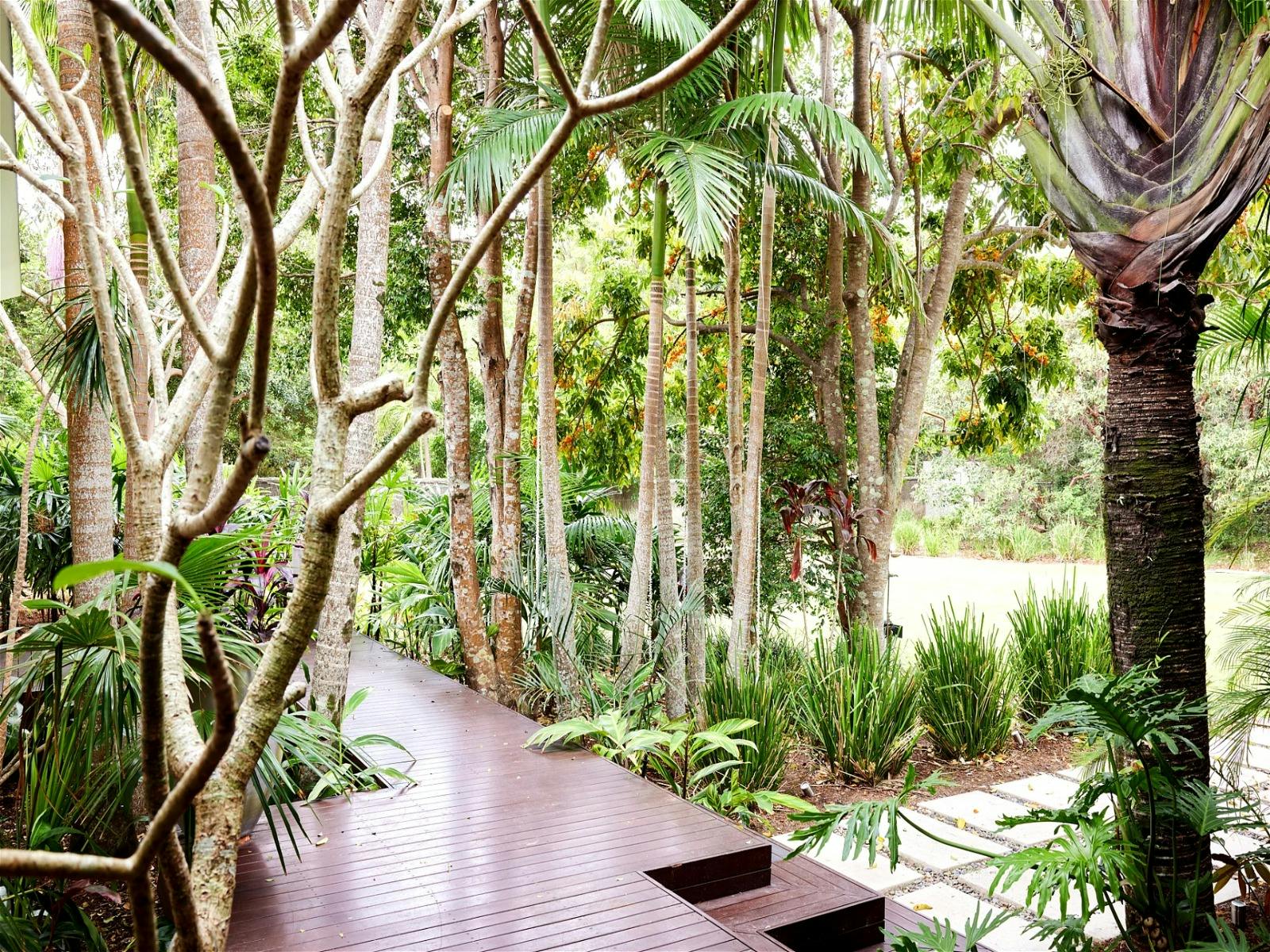 walk way in a lush greenery