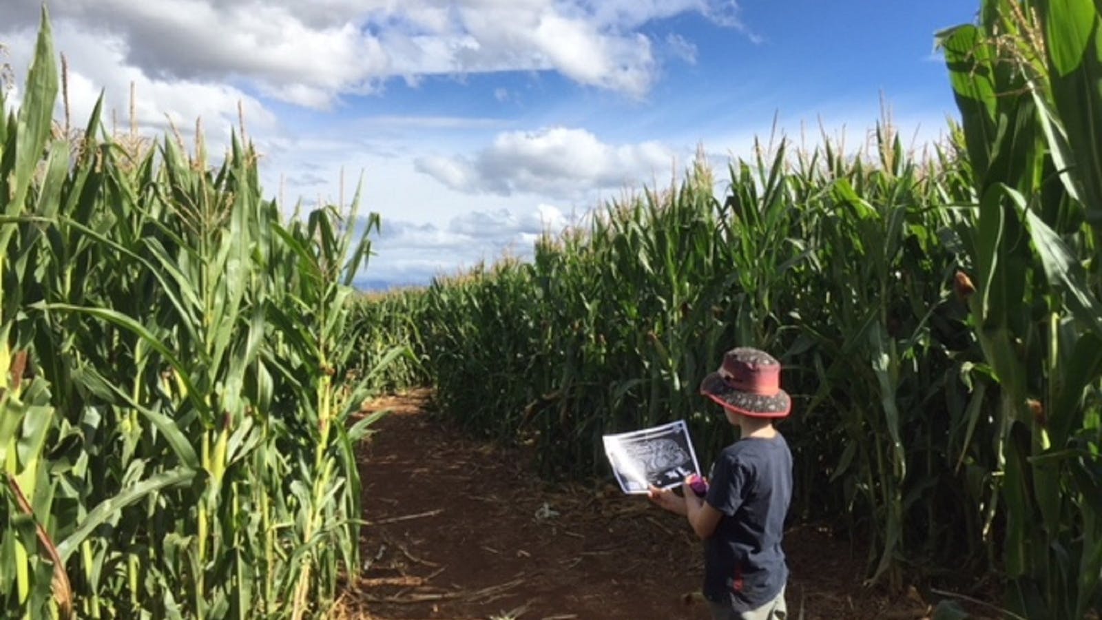 Image for Rupertswood Farm Crop Maze