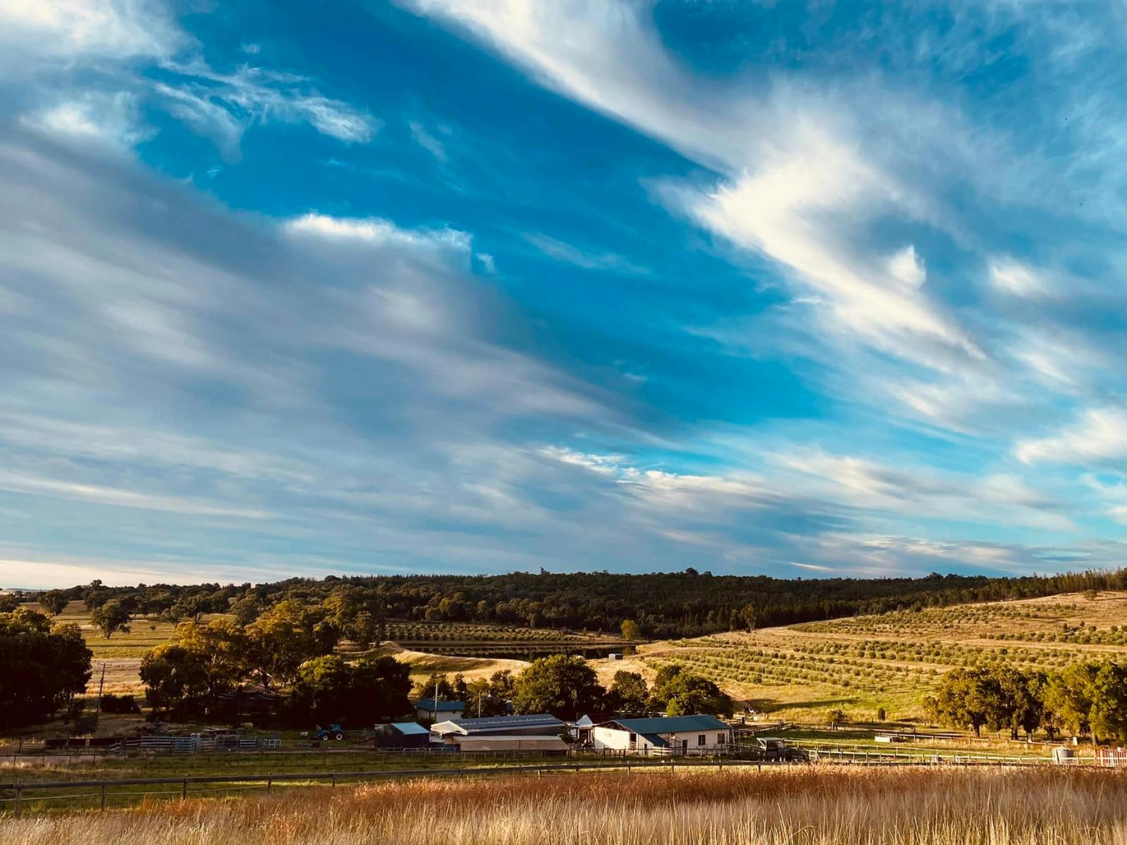Glen Donald Estate Farm Tour