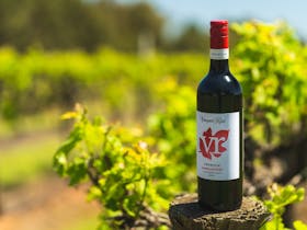 Red wine bottles standing on post in vineyard
